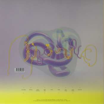 2LP Björk: Vulnicura DLX