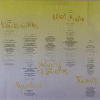2LP Björk: Vulnicura DLX