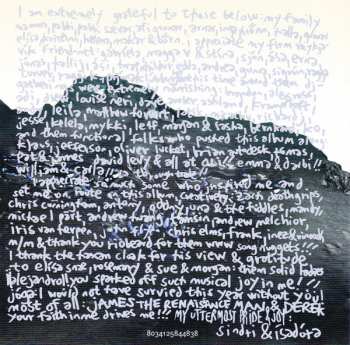 CD Björk: Vulnicura