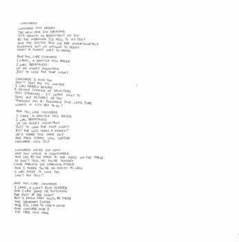 2LP Black Country, New Road: Ants From Up There