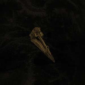 LP Black Holes Are Cannibals: Surfacer LTD