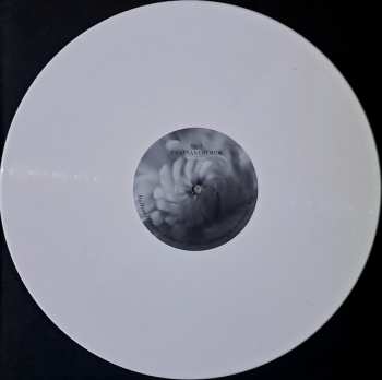 LP Black Nail Cabaret: Chrysanthemum CLR