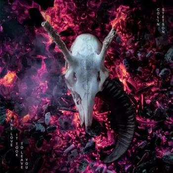 Andrea Love: All We Need