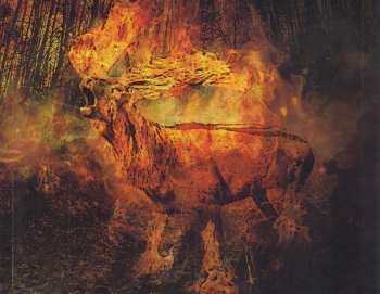 CD Blasting All Rotten Fuckers: Région Sauvage