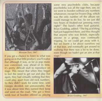 CD Blossom Toes: What On Earth: Rarities 1967-69