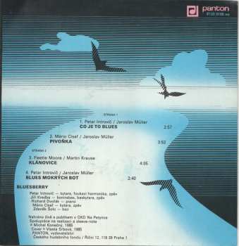 SP Bluesberry: Cesty /6/