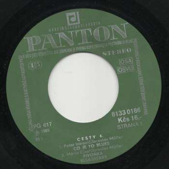 SP Bluesberry: Cesty /6/