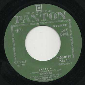 SP Bluesberry: Cesty /6/