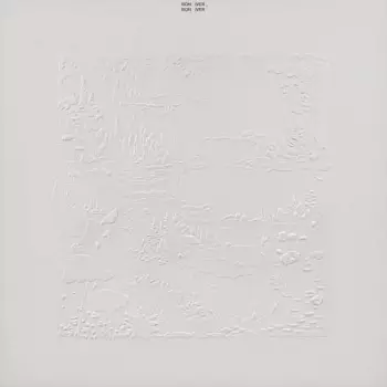 Bon Iver: Bon Iver, Bon Iver