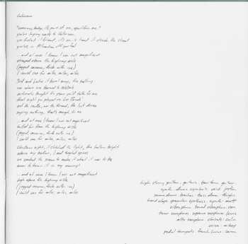 LP Bon Iver: Bon Iver, Bon Iver