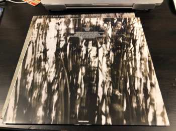 LP The Psychedelic Furs: Book Of Days