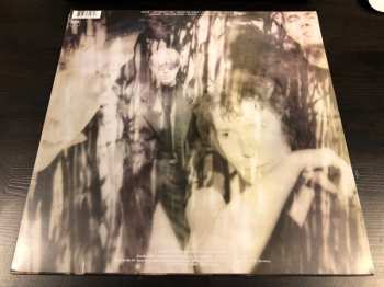 LP The Psychedelic Furs: Book Of Days