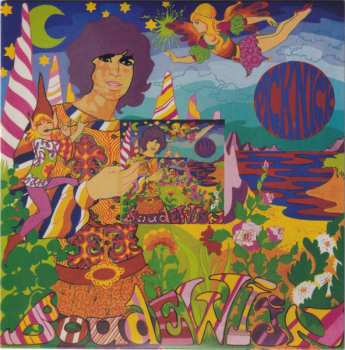 22CD/Coffret Boudewijn De Groot: Oogst