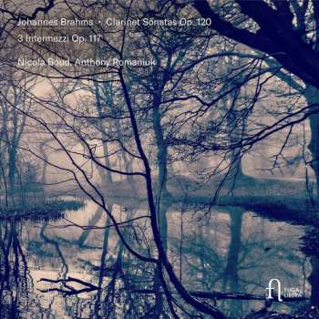 Album Boud,nicola: Brahms: Clarinet Sons Op. 120 & 3 Intermezzi Op. 1