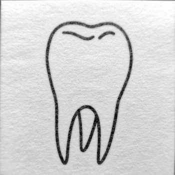 LP Boygenius: The Record  CLR | LTD