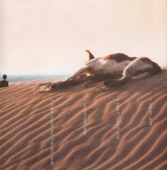 CD Brad Shepik: The Well