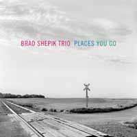 SACD Brad Shepik Trio: Places You Go