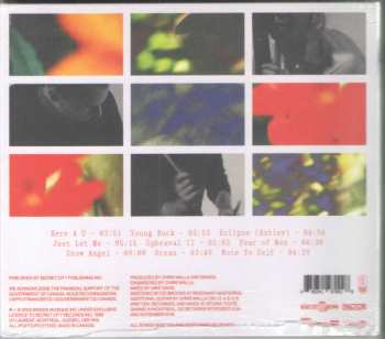 CD Braids: Shadow Offering