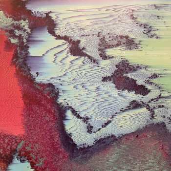 2LP Brainwaltzera: Poly-Ana