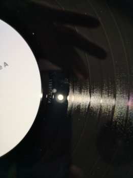 LP Brant Bjork: Mankind Woman