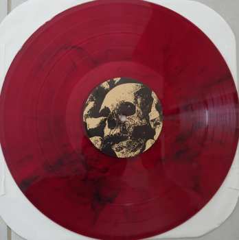 LP Breakout: Fight Or Fall