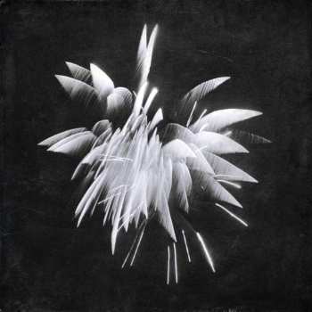 Album Brent Windler: New Morning Howl