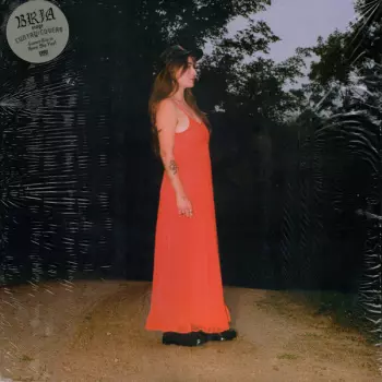 Cuntry Covers Vol. 1