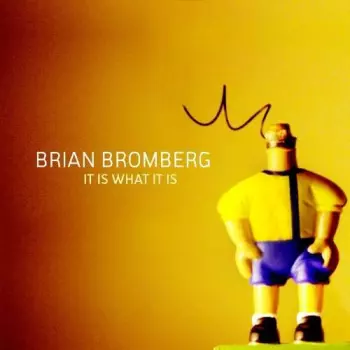 Brian Bromberg: It Is What It Is