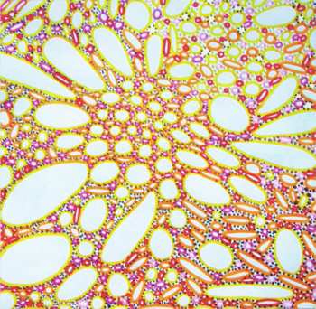 CD Brian Ellis: The Silver Creature