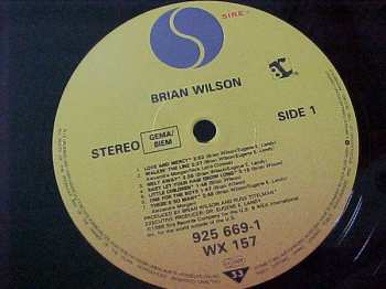 LP Brian Wilson: Brian Wilson