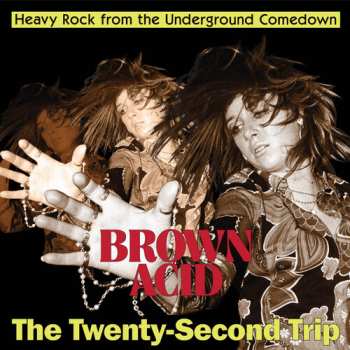 Album Brown Acid - Twenty-second Trip / Various: Brown Acid