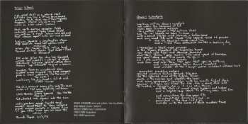 CD Bruce Cockburn: In The Falling Dark DLX