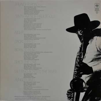 LP Bruce Springsteen: Born To Run