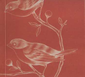 CD Brunori Sas: {Cip!}