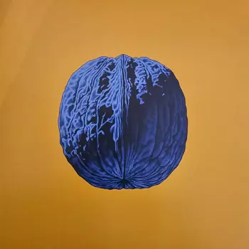 L'Albero Delle Noci