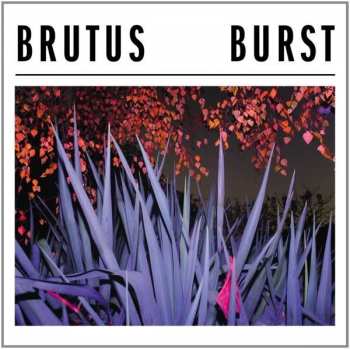 LP Brutus: Burst