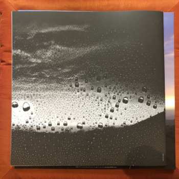 2LP Bryan Beller: Scenes From The Flood