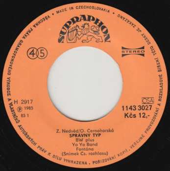 SP Yo Yo Band: Správný Typ / Dlouhé Čekání