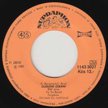 SP Yo Yo Band: Správný Typ / Dlouhé Čekání