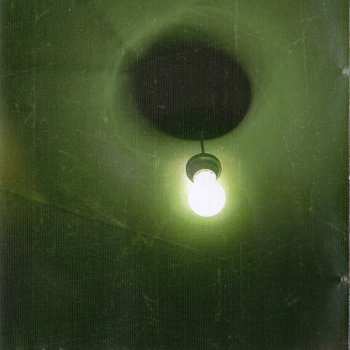 CD By The Tree: Hold You High