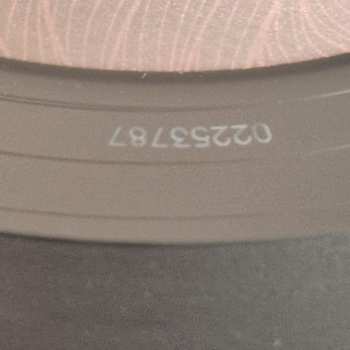 LP Bywater Call: Sunshine - Live In 2024