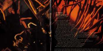 CD Caetano Veloso: A Foreign Sound