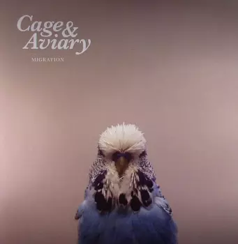 Cage & Aviary: Migration