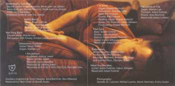 CD Calvin Johnson: Before The Dream Faded...