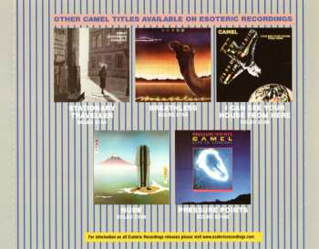CD Camel: The Single Factor