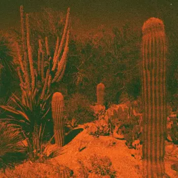 Eli Winter: Anticipation
