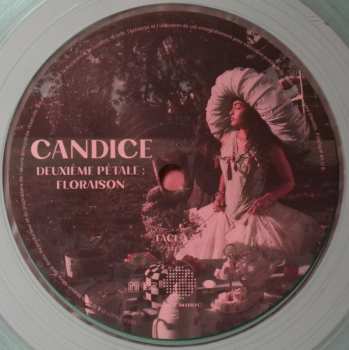 LP Candice: Deuxième Pétale: Floraison