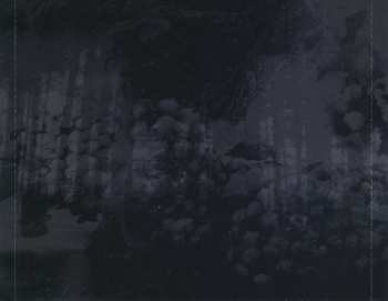3CD/Coffret Carpathian Forest: The Fucking Evil Years