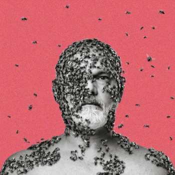 Album Carson: Wilful Pursuit Of Ignorance