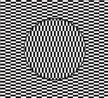 CD Carter Tutti Void: Transverse